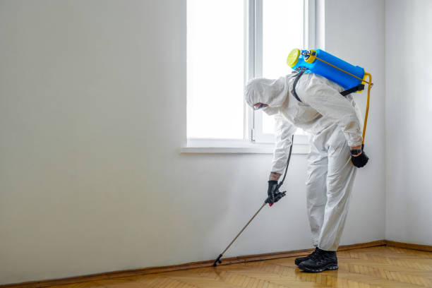 Best Fumigation Services  in Norwood, OH